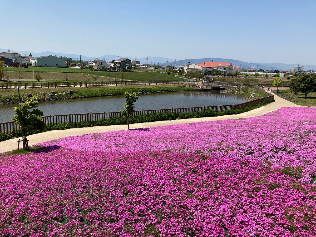 🌸 세 갈래 연못 공원 (미쓰마타이케 코엔)